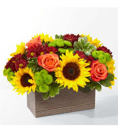 FTD Happy Harvest Garden. An arrangement by Pierson's Flower Shop and Greenhouses. FTD Happy Harvest Garden. An arrangement by Pierson's Flower Shop and Greenhouses.