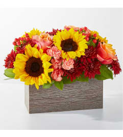 FTD Cider. An arrangement by Pierson's Flower Shop and Greenhouses. FTD Cider. An arrangement by Pierson's Flower Shop and Greenhouses.