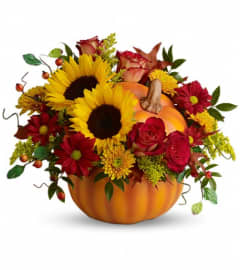 Pumpkin Patch Radiance. An arrangement by Cincyfloralnista.