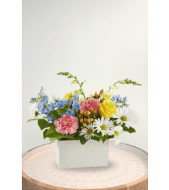 A Sunny Salutations Box. An arrangement by Blossoms On The Trail.