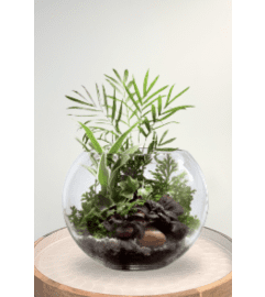 Woodland Greens Terrarium. An arrangement by Blossoms On The Trail.