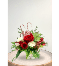 Christmas Cheer (Mug and candy canes). An arrangement by Blossoms On The Trail.