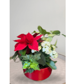 Red Ring Planter. An arrangement by Blossoms On The Trail.