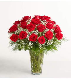 Ultimate Elegance Long Stem Roses. An arrangement by Aventura Blooming Petals.
