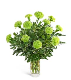 One Dozen Green Carnations. An arrangement by The Flower Shop of Lake Charles.
