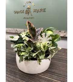 Winter Ceramic Planter. An arrangement by Grande Prairie Florist. Winter Ceramic Planter. An arrangement by Grande Prairie Florist.