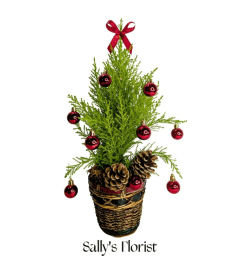 Sally's Christmas Mini Tree with decor. An arrangement by Jimmy's Flower Shop. Sally's Christmas Mini Tree with decor. An arrangement by Jimmy's Flower Shop.