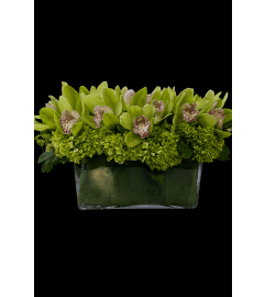 Emerald Elegance. An arrangement by Bill's Flowers Arrangements.