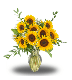 Sunny Daydream. An arrangement by Flowers of Jacksonville. Sunny Daydream. An arrangement by Flowers of Jacksonville.