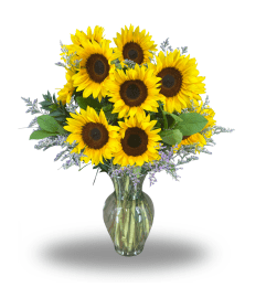 Purple Sunshine. An arrangement by Flowers of Jacksonville.