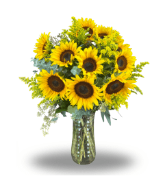 Pure Sunshine. An arrangement by Flowers of Jacksonville.