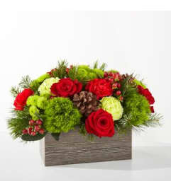 FTD Bundled Up. An arrangement by Pierson's Flower Shop and Greenhouses.