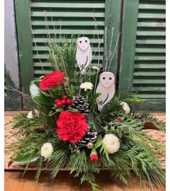 Enchanted Evergreen Charm. An arrangement by Forest Florist.