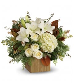 Teleflora's Snowy Woods Bouquet. An arrangement by Very's Flowers.