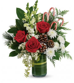 Teleflora's Festive Pines Bouquet. An arrangement by Very's Flowers.