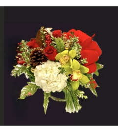 Crimson Orchid Elegance Centrepiece. An arrangement by Hillcrest Florist. Crimson Orchid Elegance Centrepiece. An arrangement by Hillcrest Florist.