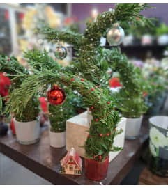Whoville Tree. An arrangement by Sophie's Flowers.