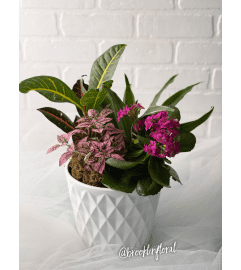 Medium Tropical Whtie Ceramic Planter. An arrangement by Brooklin Floral and Garden Shoppe Inc..