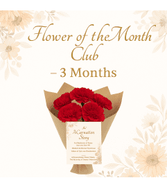 Flower of the Month Club. An arrangement by Floratechnics.