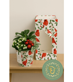 Ellen Garden in Tin with Gift Bag. An arrangement by Anderson Flowers.