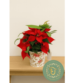 Holly Tin Planter. An arrangement by Roma James Gifts.