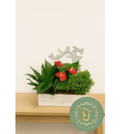 Christmas Reindeer Mixed Tropical Wooden Box. An arrangement by Lori's Hearts and Flowers.