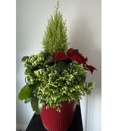 Holiday Cheer Mixed Planter. An arrangement by Linda's Floral Designs.