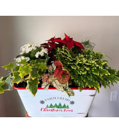 Holly Jolly Holiday Tin. An arrangement by Linda's Floral Designs.