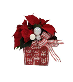 Red House Planter. An arrangement by Prestige Floral.