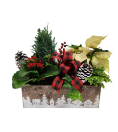 Winter forest planter box. An arrangement by Prestige Floral.