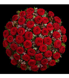 Red Rose Bouquet in a Vase 36 / 48 / 100. An arrangement by Flowers and Beyond. Red Rose Bouquet in a Vase 36 / 48 / 100. An arrangement by Flowers and Beyond.