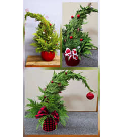 Grinch Trees. An arrangement by Petal Pushers Flower and Gift Shop.