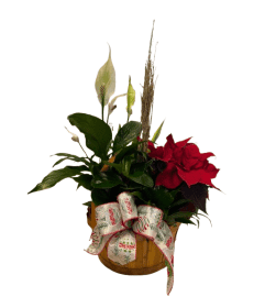 ❤️ Christmas Cheer Planter. An arrangement by Kitchener Ontario Florist.