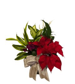 Merry Red Radiance. An arrangement by Kitchener Ontario Florist.