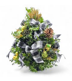 Christmas Boxwood Tree. An arrangement by Appleblossoms.