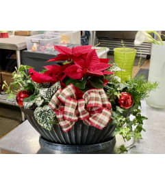 Holiday Garden Planter. An arrangement by Tom's Florist. Holiday Garden Planter. An arrangement by Tom's Florist.