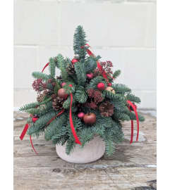 O'Christmas Tree. An arrangement by The Garden Gate Gifts and Florals.