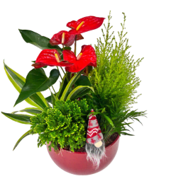 Large And Exquisite Christmas Planter. An arrangement by In Bloom. Large And Exquisite Christmas Planter. An arrangement by In Bloom.