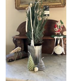 6 Juniper Tree with Holiday Decorations. An arrangement by Foraged Floral of Cape Cod. 6 Juniper Tree with Holiday Decorations. An arrangement by Foraged Floral of Cape Cod.