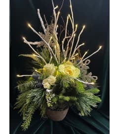 Sapphire Sentiment. An arrangement by Flower Snobs at Cityview.