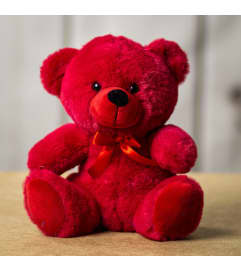 9”red teddy bear. An arrangement by Brookdale Flowers and Gifts. 9”red teddy bear. An arrangement by Brookdale Flowers and Gifts.