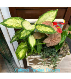 Aunt Donna's Quilt Chest. An arrangement by Fellows Fernlea Flowers.