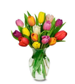 Color Me Tulips. An arrangement by Florist of the Northwoods.