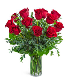 One Dozen Red Hot Roses. An arrangement by The Flower Shop of Lake Charles. One Dozen Red Hot Roses. An arrangement by The Flower Shop of Lake Charles.