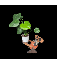 Wood Robot Planter. An arrangement by Anne Marie Rose Floral Design. Wood Robot Planter. An arrangement by Anne Marie Rose Floral Design.