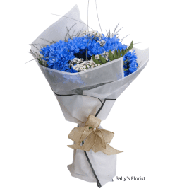 Sally's Blue Bliss. An arrangement by Triple A Florist. Sally's Blue Bliss. An arrangement by Triple A Florist.