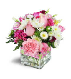 Pink Sweetness Squared Arrangement. An arrangement by Nicol Florist. Pink Sweetness Squared Arrangement. An arrangement by Nicol Florist.