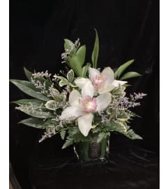 Orchid You Not. An arrangement by Roma Flowers and Gifts. Orchid You Not. An arrangement by Roma Flowers and Gifts.
