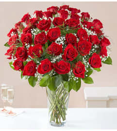 Ultimate Elegance 60 RED Long Stem Roses. An arrangement by Aventura Blooming Petals.