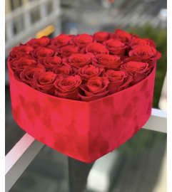 Velvet Passion Box.. An arrangement by Hialeah Flowers.